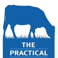 The Practical Dairy People